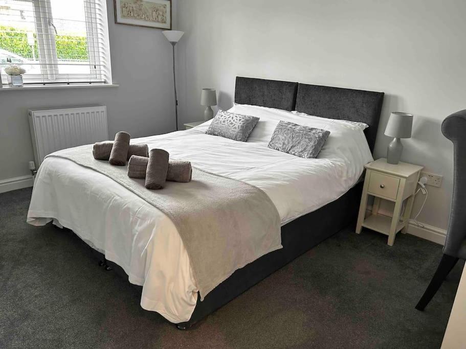 Bury St. Edmunds Hedgehog Cottage מראה חיצוני תמונה